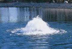 黑臭河涌的修復(fù)方法(節(jié)選)